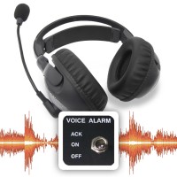 Voice/Audio